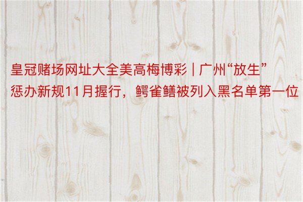 皇冠赌场网址大全美高梅博彩 | 广州“放生”惩办新规11月握行,鳄雀鳝被列入黑名单第一位